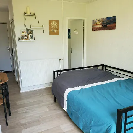 Avec Jardin Privatif Apartment Albi