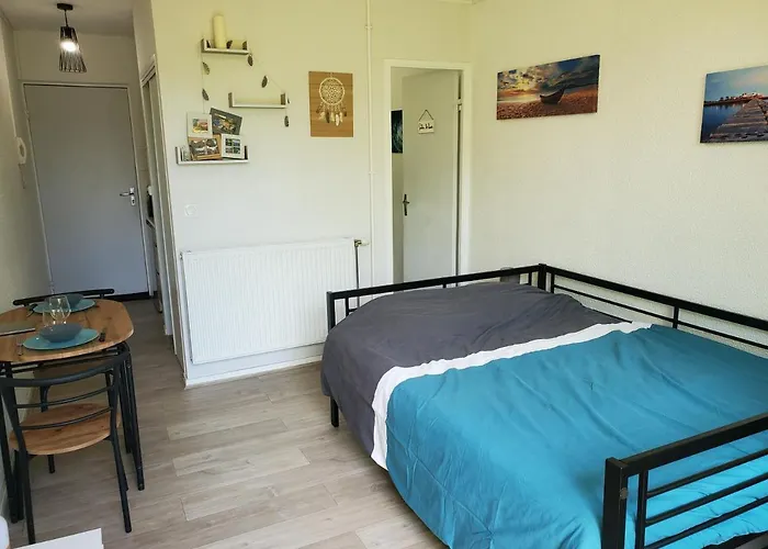 Avec Jardin Privatif Apartamento Albi